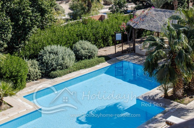 Schöner Pool direkt am Apartment
