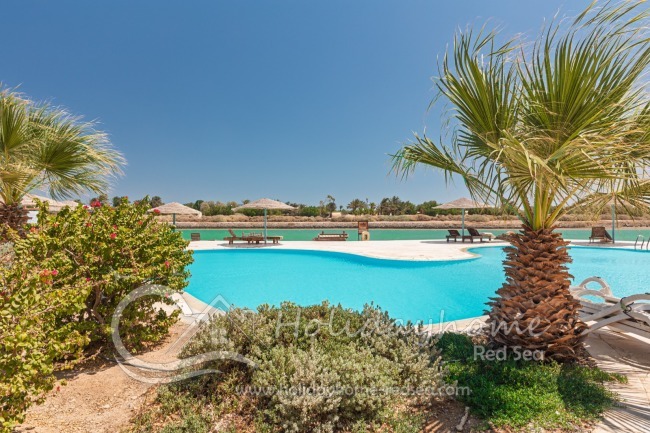 Traumhafter Pool mit Palmen